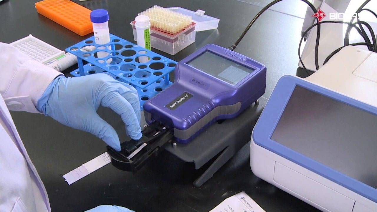Bioeasy 3-in-1 antibiotic rapid test kits